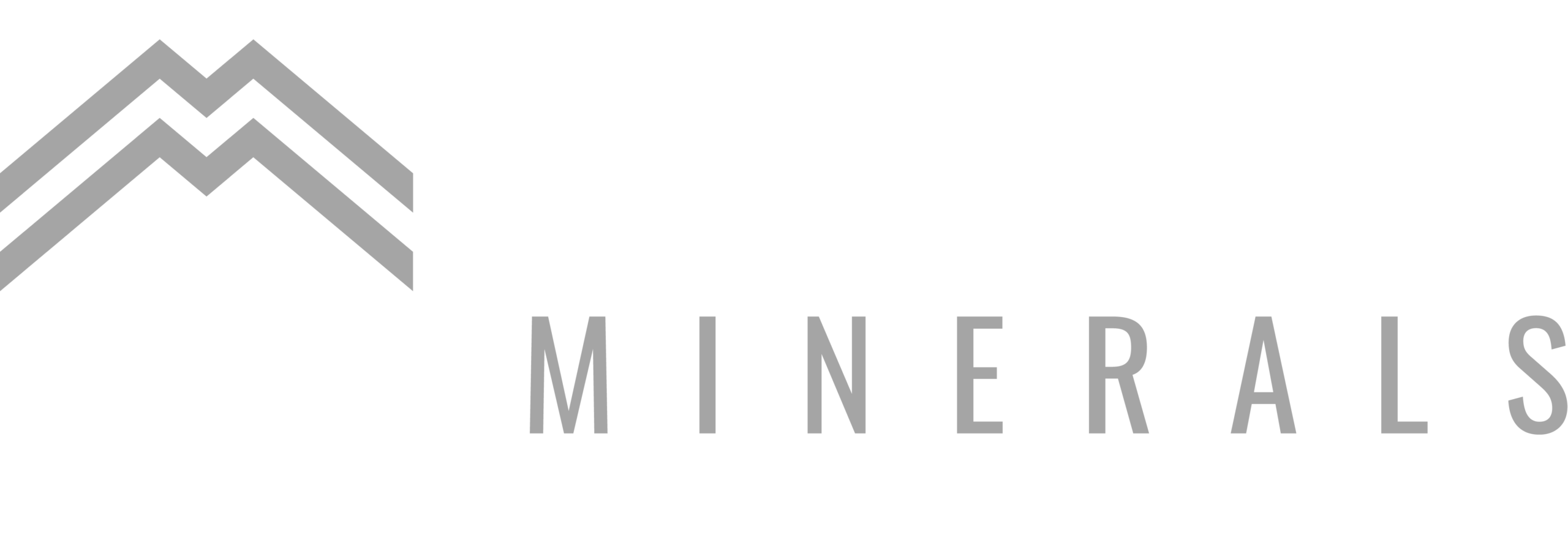 Momentum Minerals